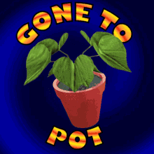 3D Pot Plant Animation