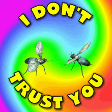 Animated GIF of Two Flies Having a Conversation