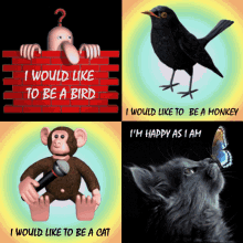 Bird, Monkey, Cat and Blackbird GIFs