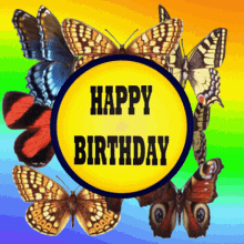 Birthday Card, Yellow Circle, Five Butterflies, Colorful Background, HAPPY BIRTHDAY Wishes, Free Gifs, 3D GIF