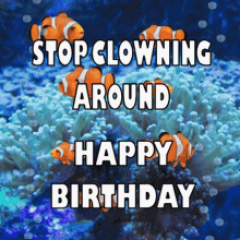 Birthday Gif