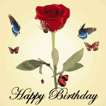 Birthday red rose and butterfly 3D GIF