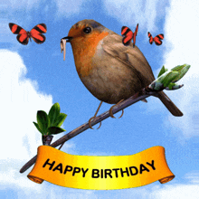 Birthday Robin With Worm And Butterflies Gif, Free Gifs, 3D GIF