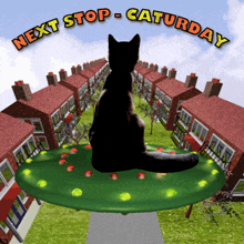 Black Cat in UFO Flying Over City Streets