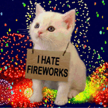 Cat hates fireworks 3D GIF, Free gifs