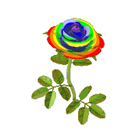 Colorful Rose 3D GIF, Free Gifs
