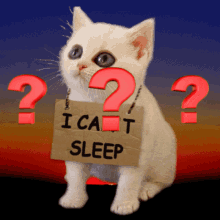 Cute Cat Can't Sleep GIF