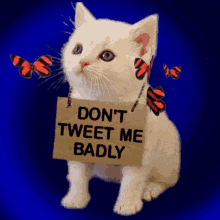 Cute Kitten with Signboard: Don't Tweet Me Badly