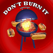 Don't Burn It: The Ultimate BBQ Challenge