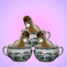 Duck in Teacup with Blue Floral Pattern, Looking at Camera, Playful and Whimsical Quality, Free Gifs, 3D GIF