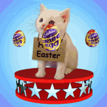 Easter Cat and Chocolate Egg Interaction GIF