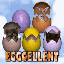 Easter Egg Gif, Easter Egg Gif, Easter Egg Gif, Easter Egg Gif, Easter Egg Gif