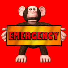 Emergency Monkey: A 3D Animation
