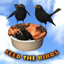 Feed the Birds Feed Wild Birds Gif