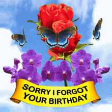 Forgot Your Birthday, Forgotten Birthday, Birthday Gift, 3D GIF