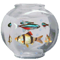Free 3D GIF of fish in a fish bowl