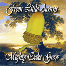 From Little Acorns Mighty Oaks Grow