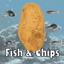 Funny Fish and Chips Cod and Chips GIF