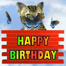 Funny happy birthday kitten stuck in bricks gif