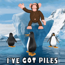 Funny Monkey and Penguin GIF, Free Gifs, 3D GIF