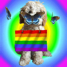 Gay puppy lgbtgif, free gifs, 3D GIF