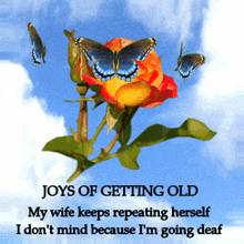 Getting Old: A Joyful Perspective