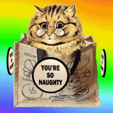 GIF Animation of a Cat in a Shopping Bag