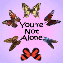 GIF Animation of Butterflies - You're Not Alone