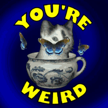 GIF Animation of Cat in Cup