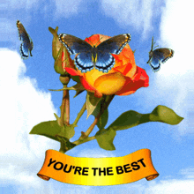 GIF Animation of Orange Rose and Butterfly's Blessing