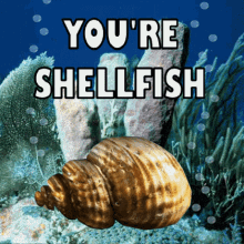 GIF Animation of Shellfish with the Text YOU'RE SHELLFISH