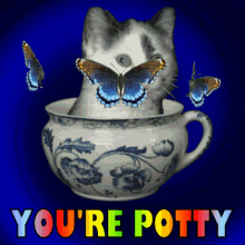 GIF Animation of The Potty Cat Meme