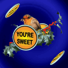 GIF Animation of You're Sweet, You're Nice