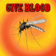 Give Blood: Save Lives and Help Those in Need