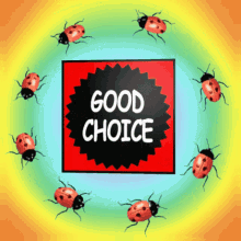 Good Choice Good Selection 3D GIF