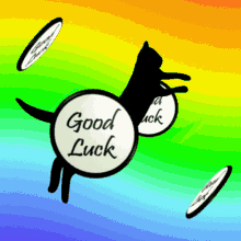 Good Luck Black Cat Good Luck GIF