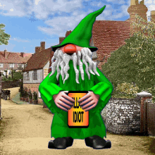 Green Gnome with Hello IDIOT Sign in Village Gif