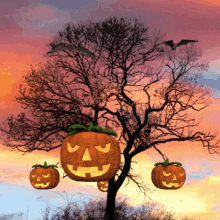 Halloween Pumpkin Tree