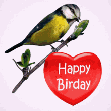 Happy Birthday Bird GIF