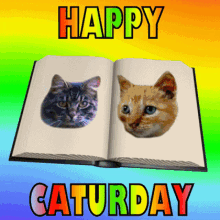 Happy Caturday! Free 3D GIFs for You!