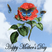 Happy Mother's Day, Red Rose, Butterfly, Blessing, Mothers Day, Free Gifs, 3D GIF