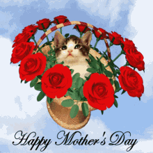 Happy Mothers Day Kitten In Basket Gif