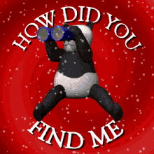 How to Find Me: A Guide for European Users