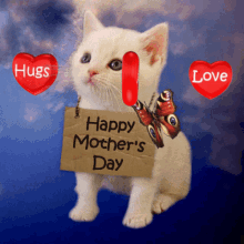 Hugs and Love on Mothers Day, Happy Mothers Day, Cat Gif