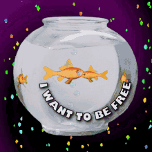 I WANT TO BE FREE, Four Goldfish in an Aquarium, 3D GIF