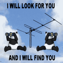 I Will Look For You Gif