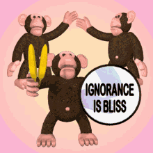 Ignorance is bliss rude monkey gif