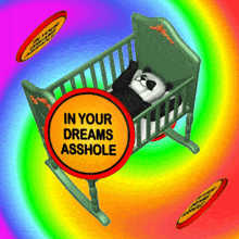 In Your Dreams, Asshole! Baby Crib in Rainbow Colors with Panda and Flying Discs