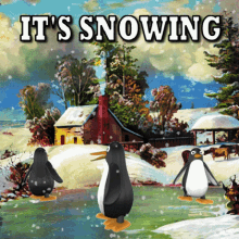It's Snowing: Penguins in a Winter Wonderland