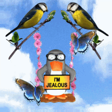 Jealous Penguin, Envious Wassie, Cute Bird, Colorful Butterfly, Funny Emotion